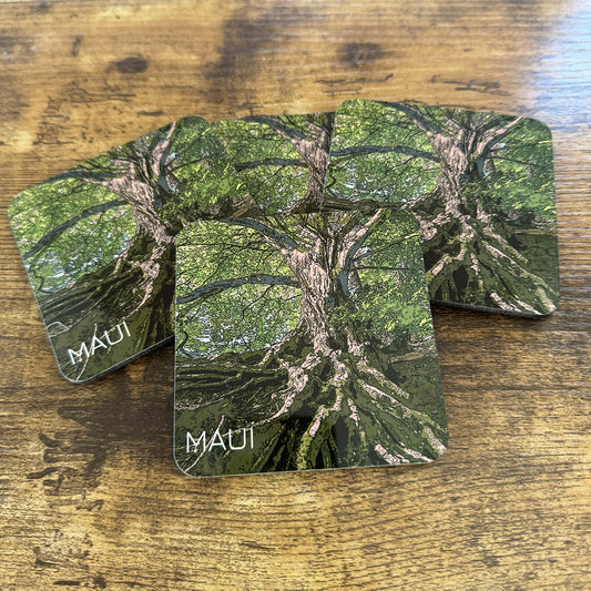 Set of 4 coasters with vibrant banyan tree design, hard acrylic surface with cork backing.