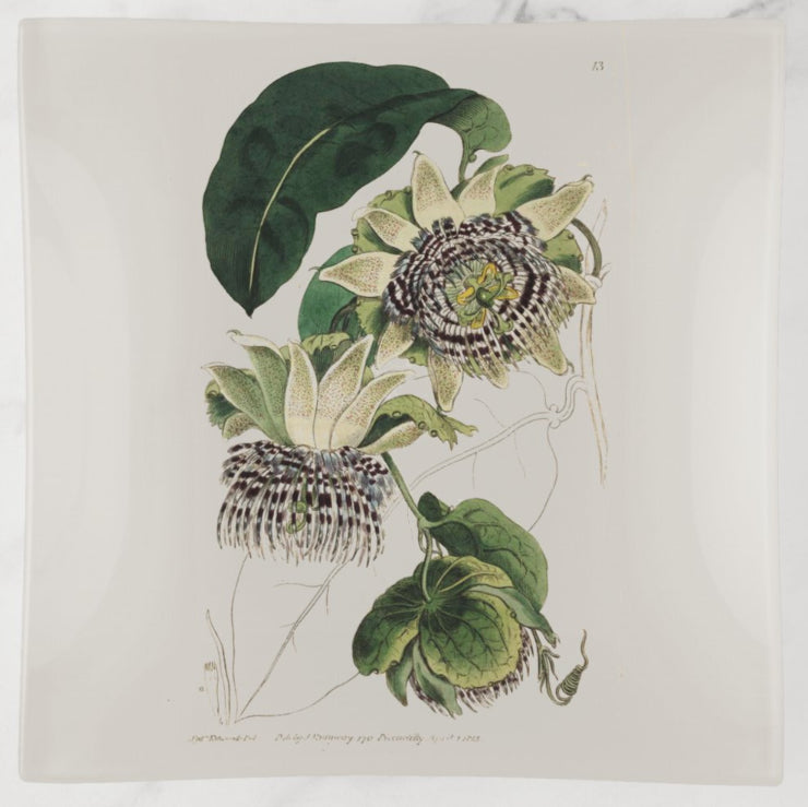 Botanical Glass Tray – Passion Flower Art, 6x6", Sydenham Edwards Vintage Design