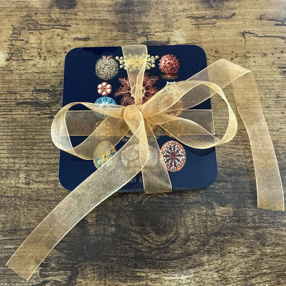 4-piece Under the Sea coaster set featuring Ernst Haeckel’s marine life illustrations, with acrylic top and cork backing.