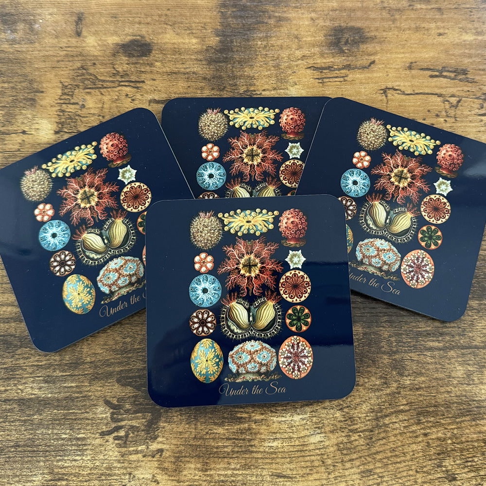 4-piece Under the Sea coaster set featuring Ernst Haeckel’s marine life illustrations, with acrylic top and cork backing.